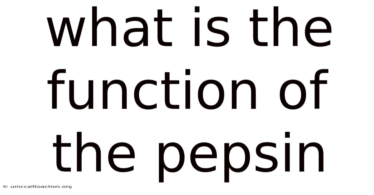 What Is The Function Of The Pepsin