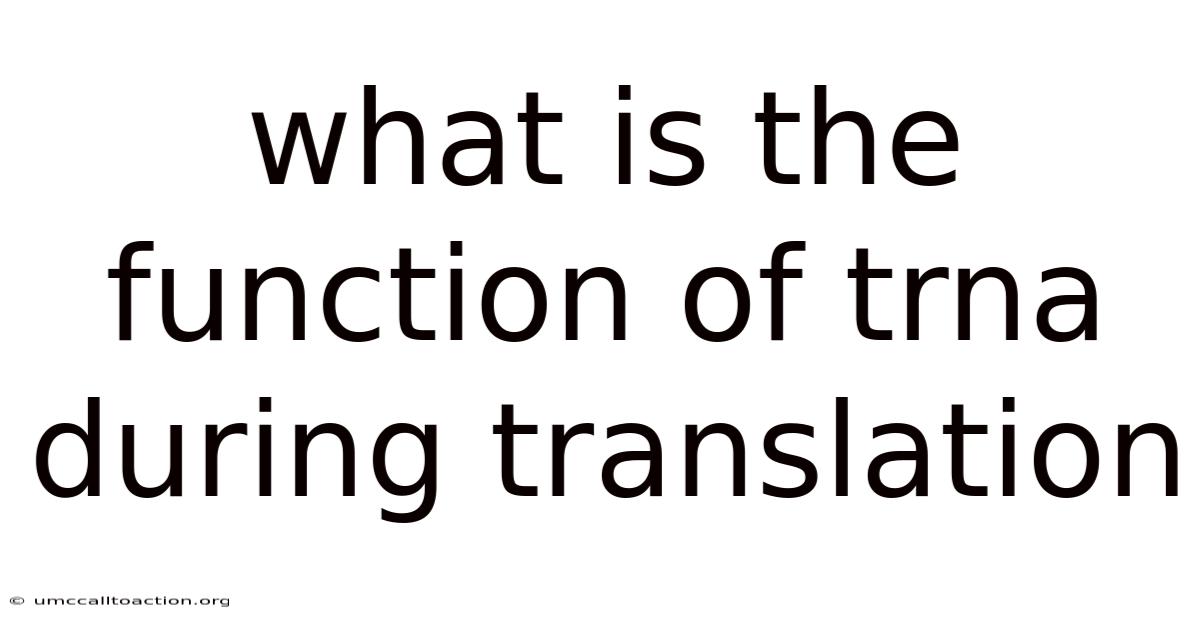 What Is The Function Of Trna During Translation