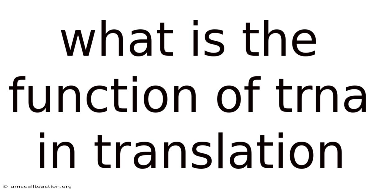 What Is The Function Of Trna In Translation