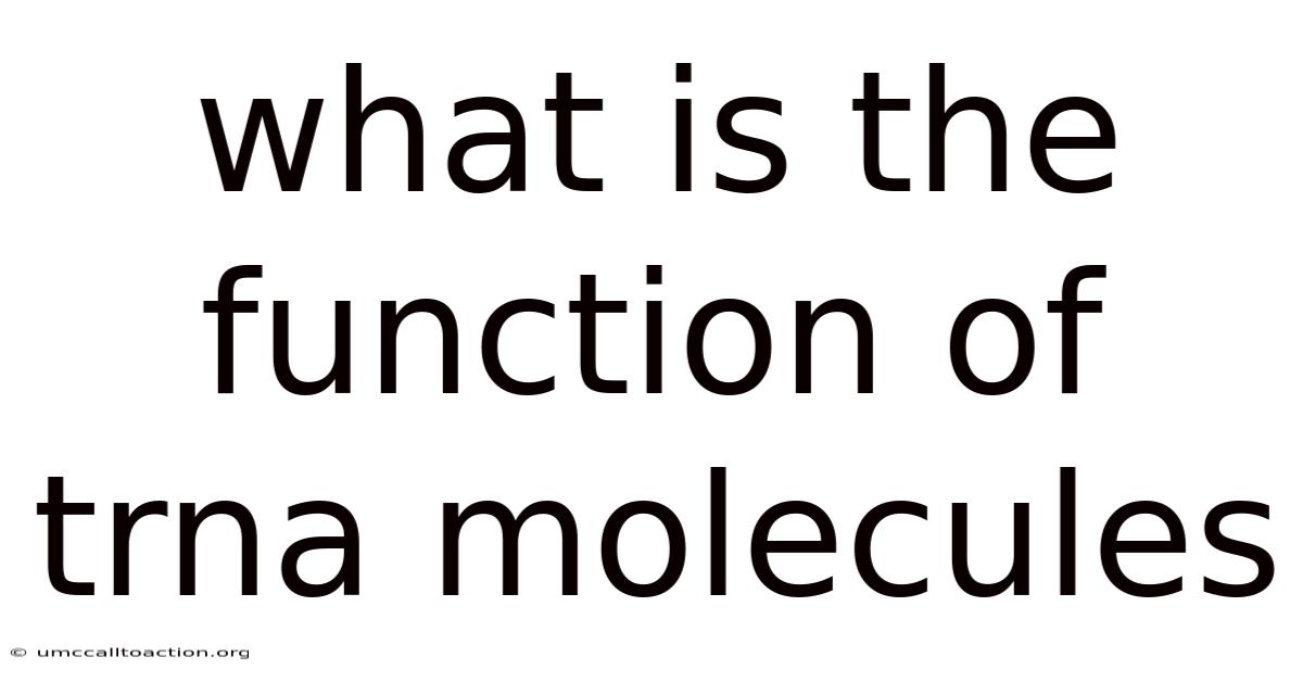What Is The Function Of Trna Molecules