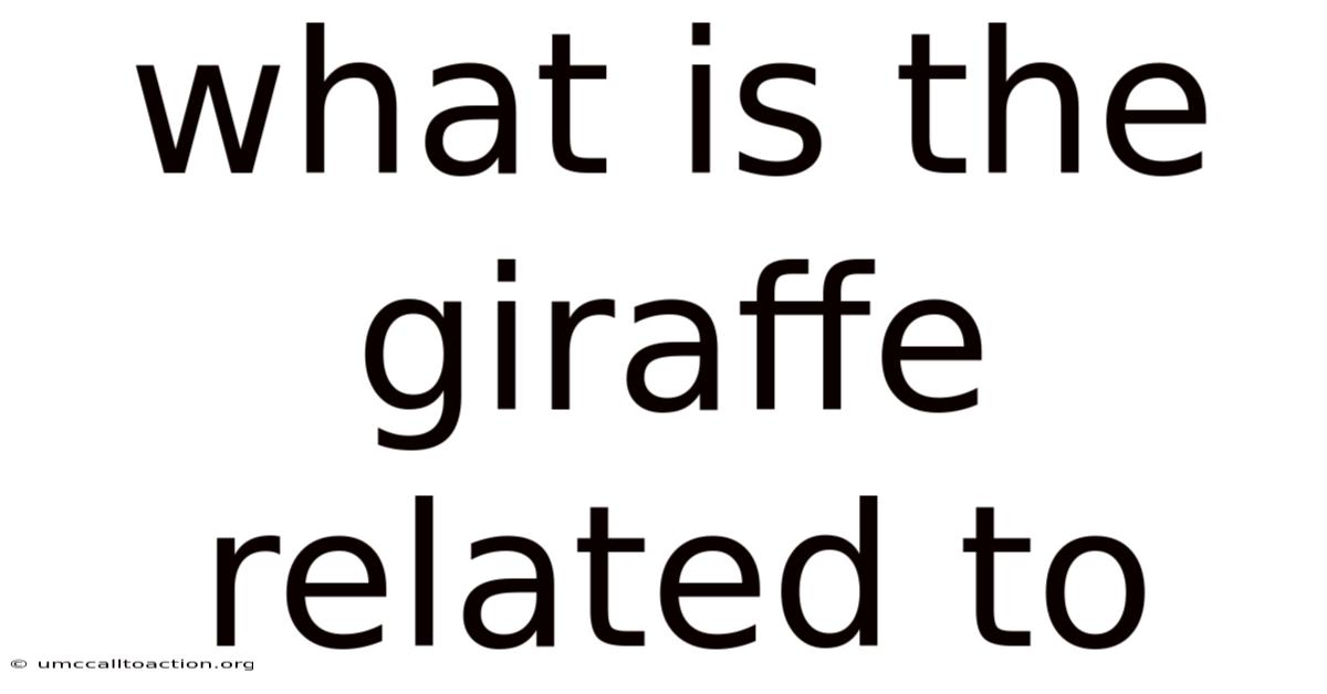 What Is The Giraffe Related To