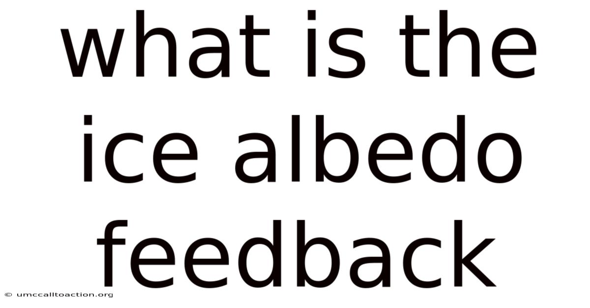 What Is The Ice Albedo Feedback