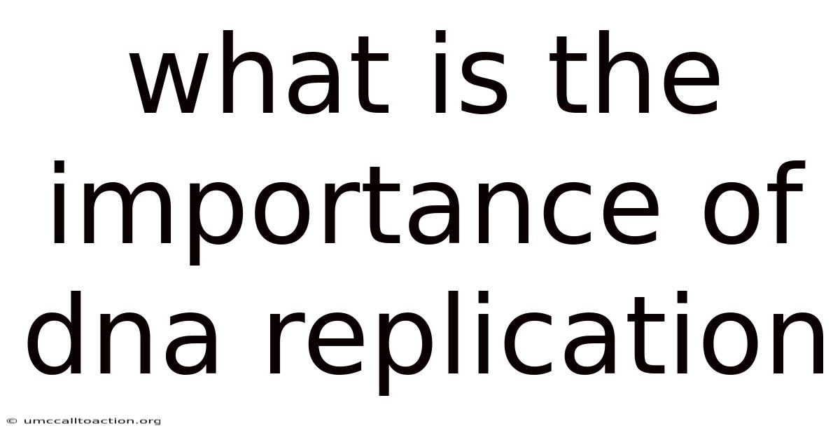 What Is The Importance Of Dna Replication
