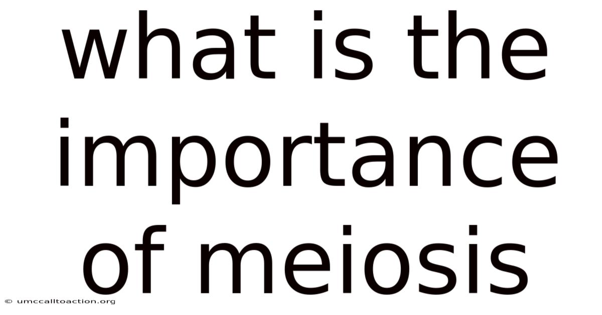 What Is The Importance Of Meiosis