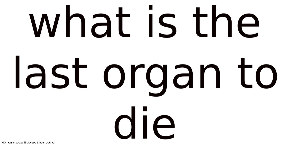 What Is The Last Organ To Die
