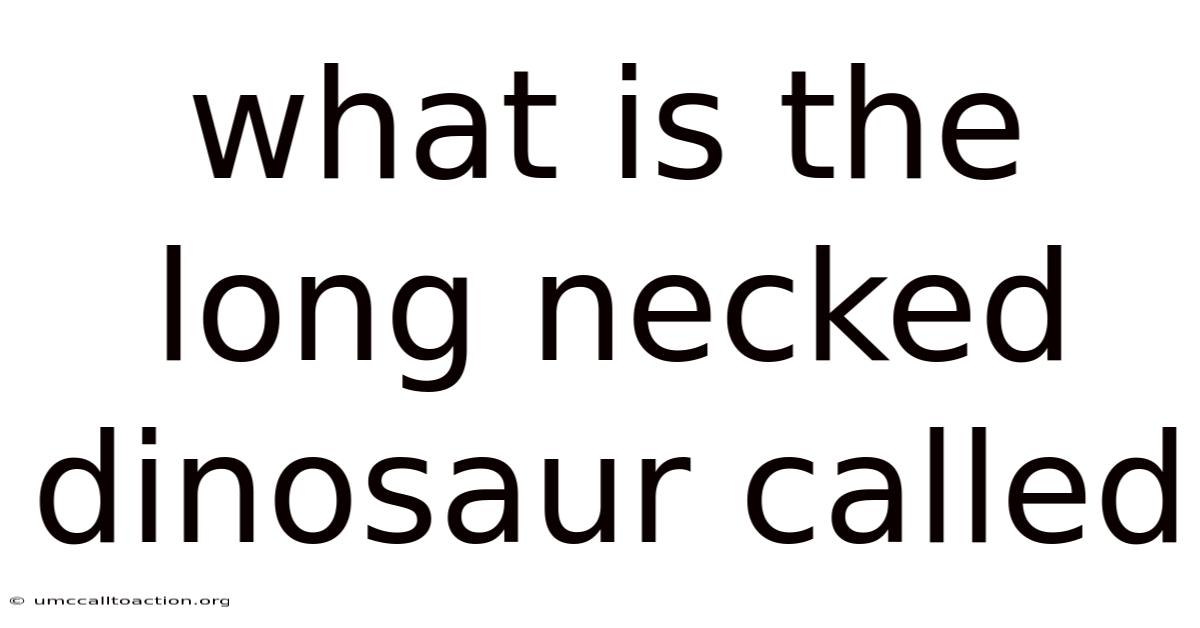 What Is The Long Necked Dinosaur Called