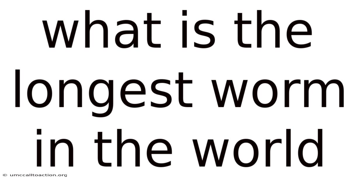 What Is The Longest Worm In The World