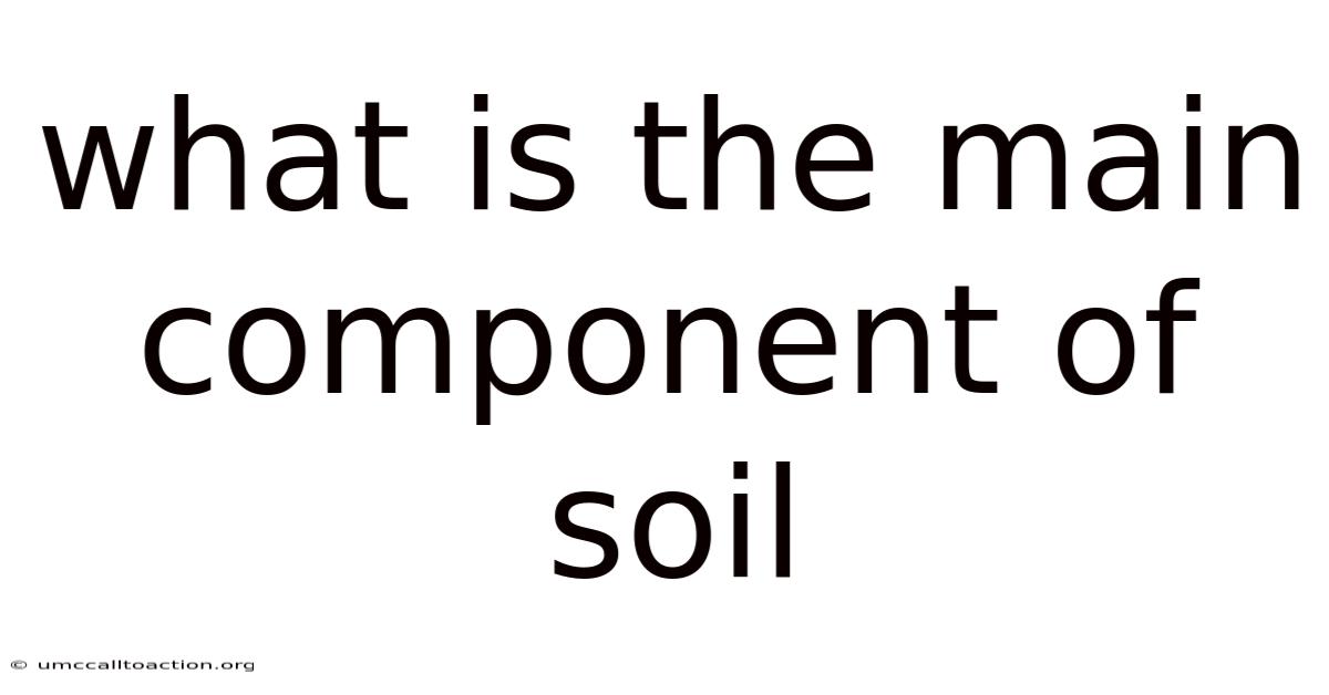 What Is The Main Component Of Soil