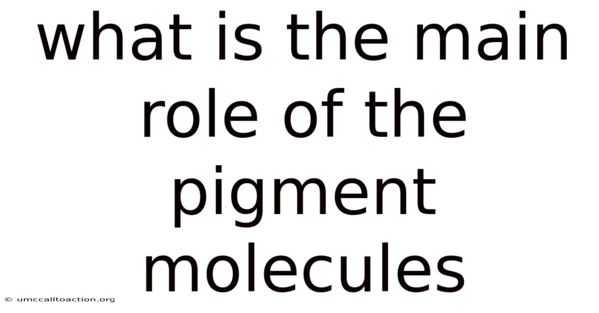 What Is The Main Role Of The Pigment Molecules