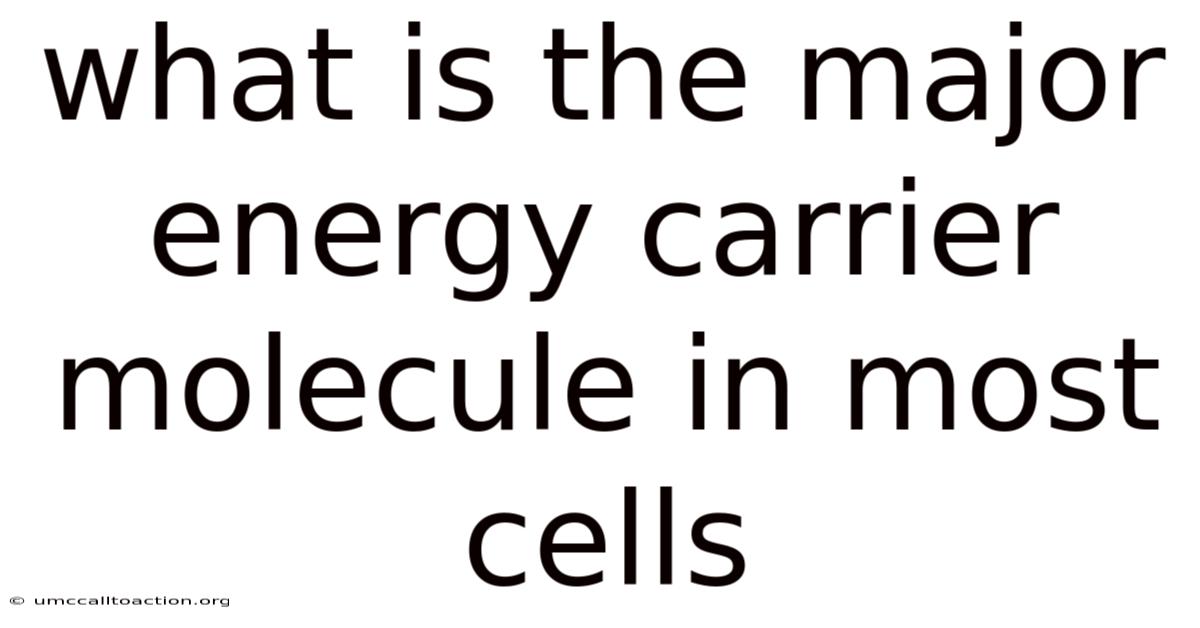 What Is The Major Energy Carrier Molecule In Most Cells