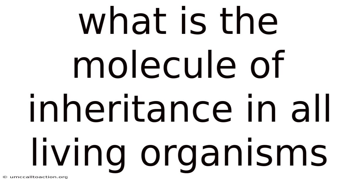 What Is The Molecule Of Inheritance In All Living Organisms