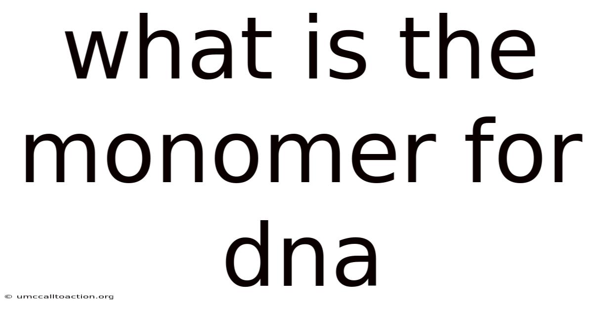 What Is The Monomer For Dna