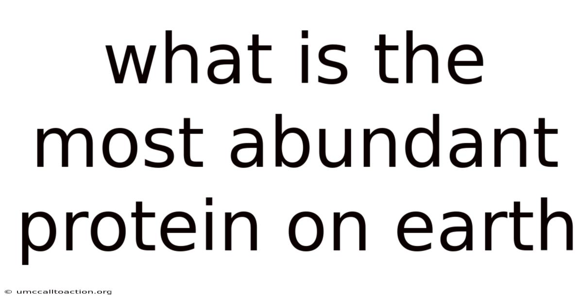 What Is The Most Abundant Protein On Earth