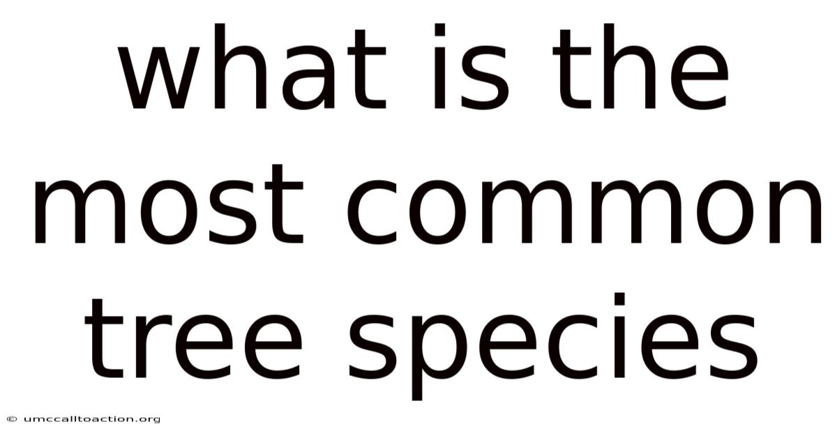 What Is The Most Common Tree Species