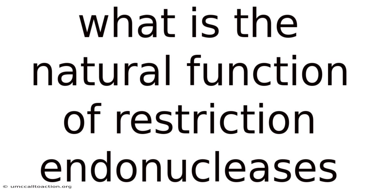 What Is The Natural Function Of Restriction Endonucleases