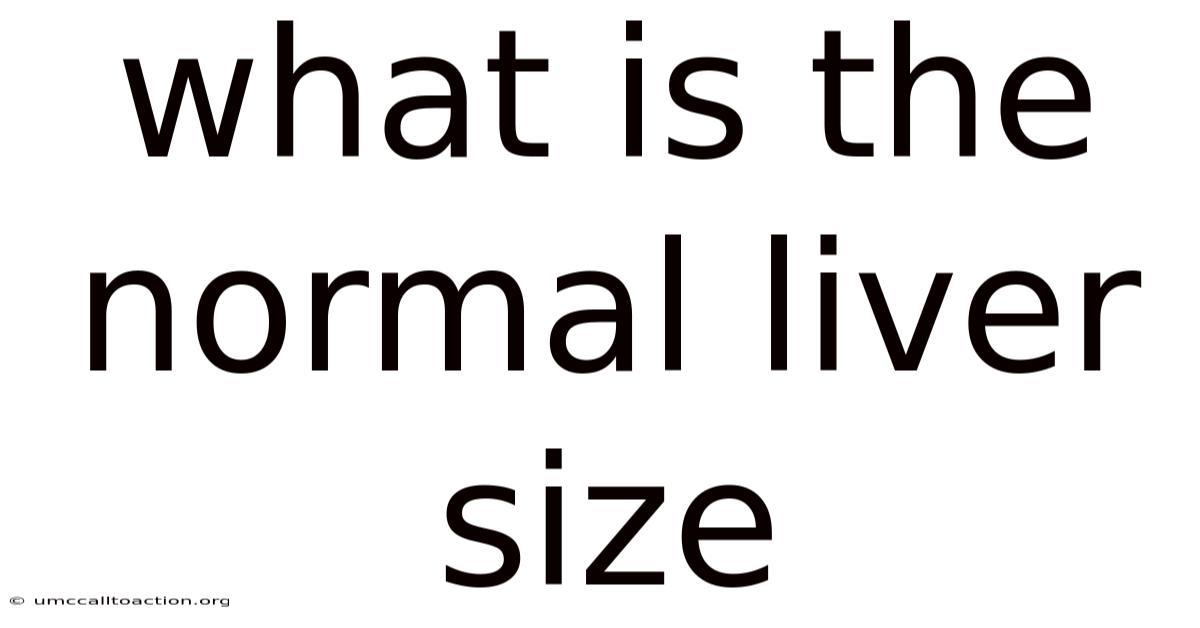 What Is The Normal Liver Size