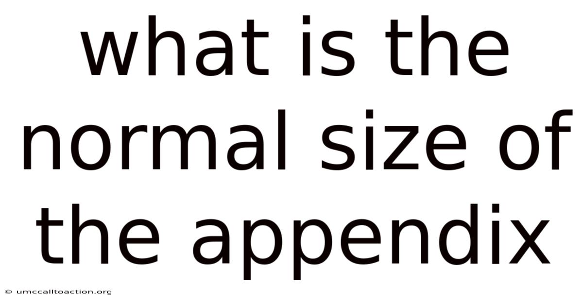 What Is The Normal Size Of The Appendix