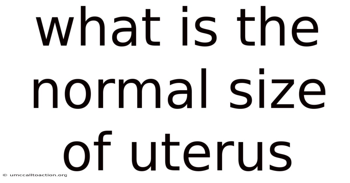 What Is The Normal Size Of Uterus