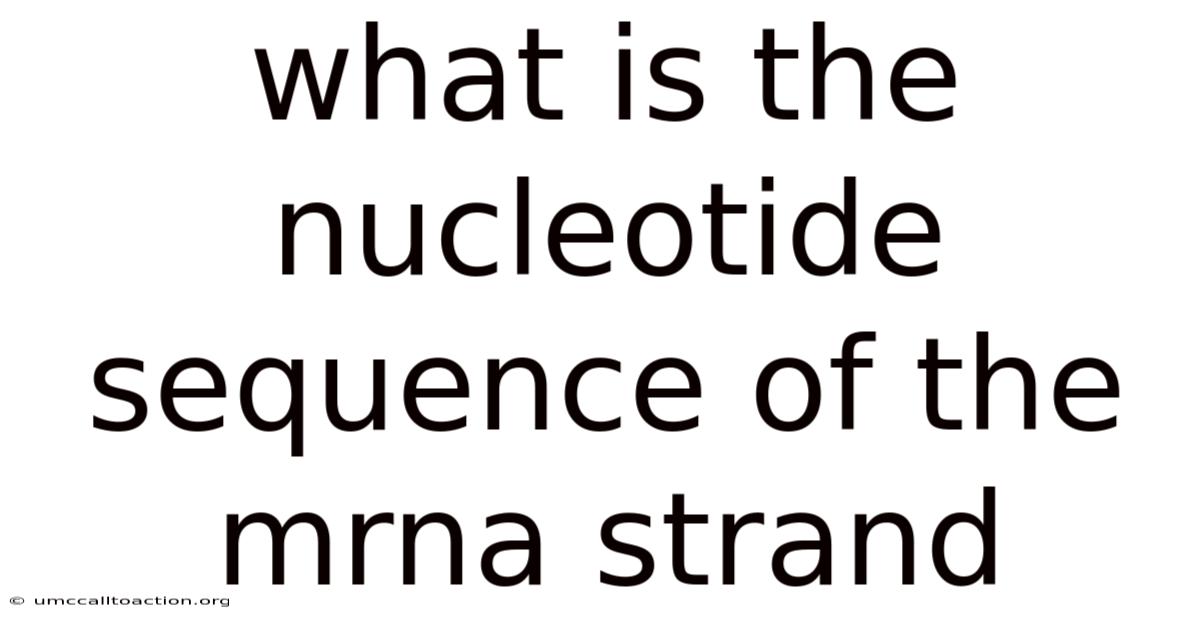 What Is The Nucleotide Sequence Of The Mrna Strand
