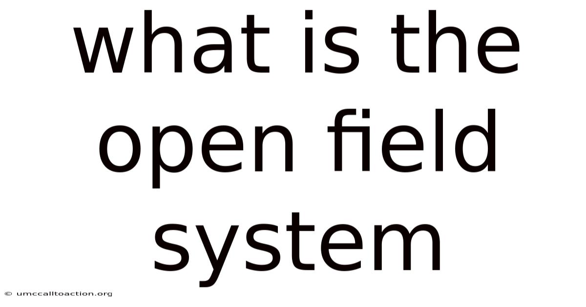 What Is The Open Field System