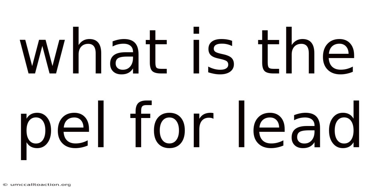 What Is The Pel For Lead