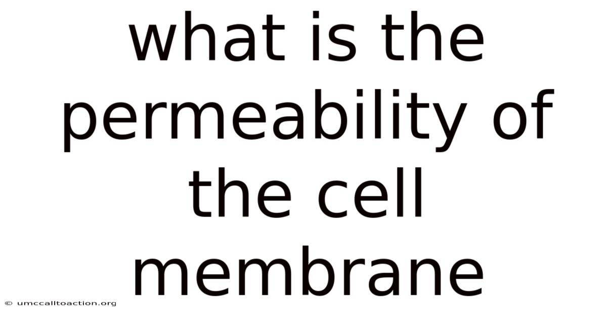 What Is The Permeability Of The Cell Membrane