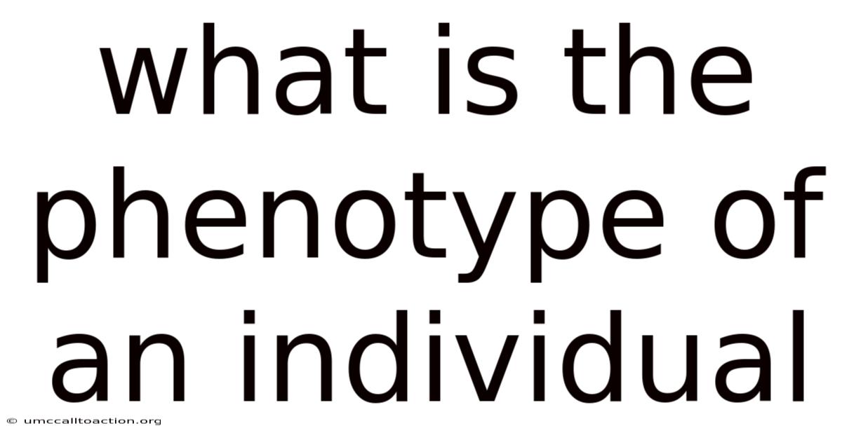 What Is The Phenotype Of An Individual