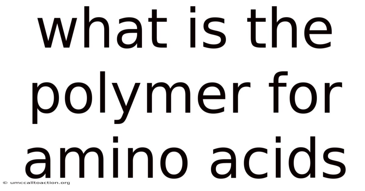 What Is The Polymer For Amino Acids
