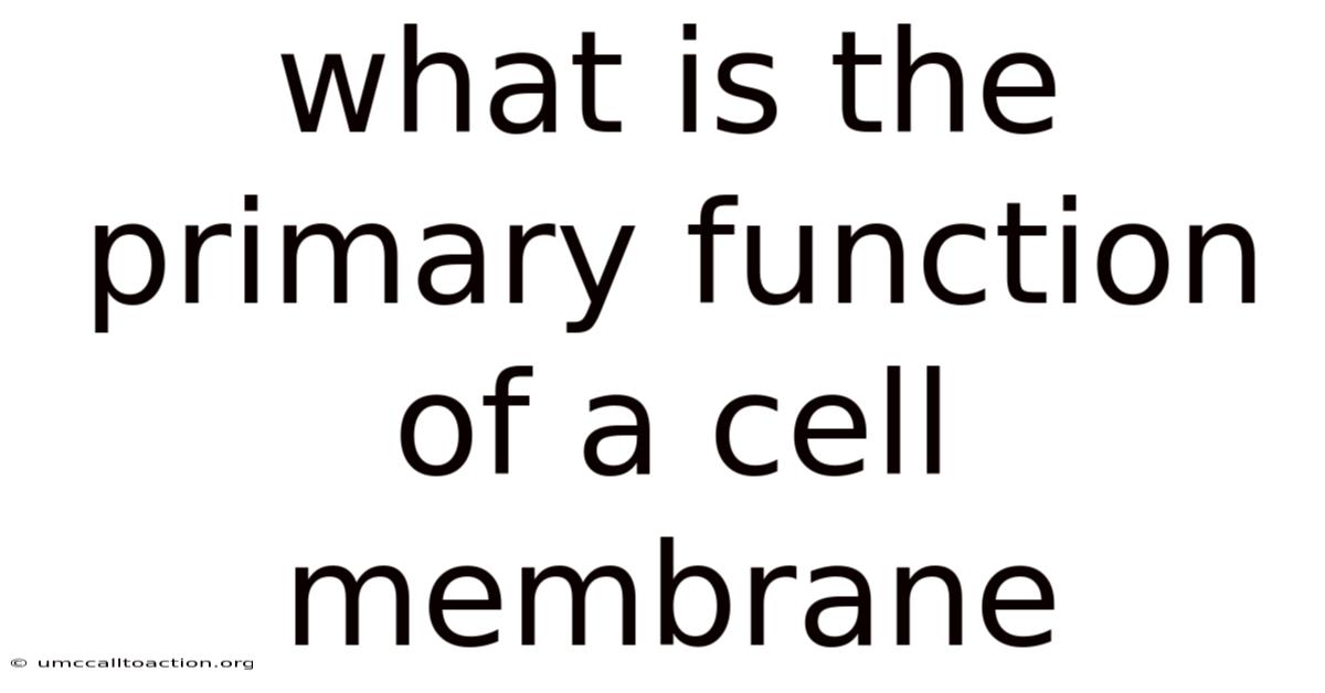 What Is The Primary Function Of A Cell Membrane
