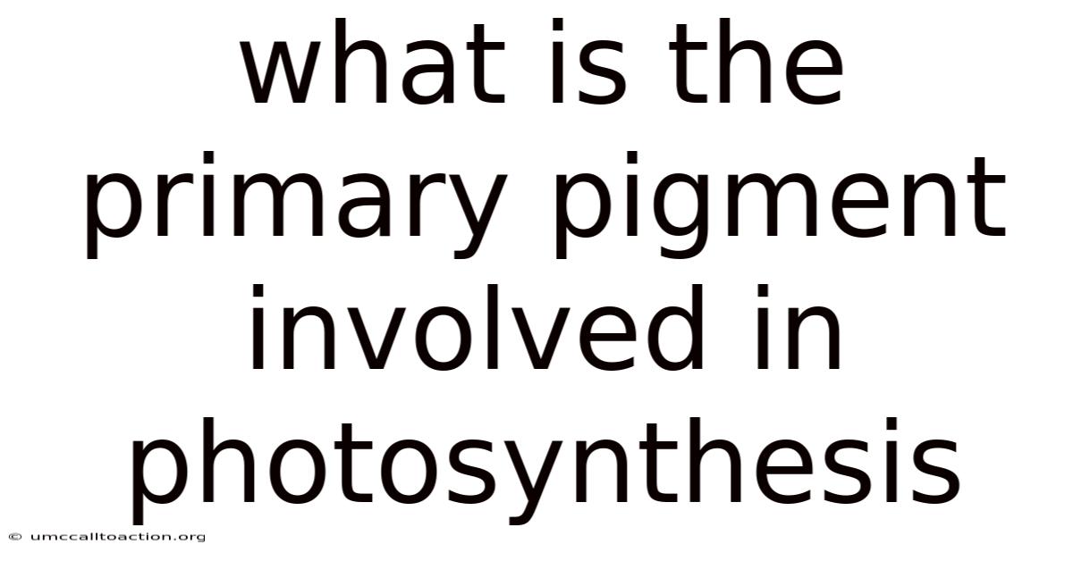 What Is The Primary Pigment Involved In Photosynthesis