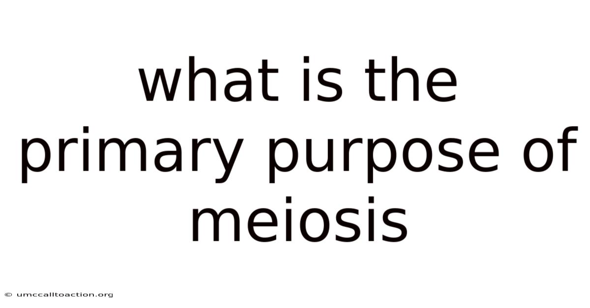 What Is The Primary Purpose Of Meiosis