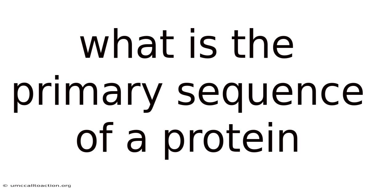 What Is The Primary Sequence Of A Protein