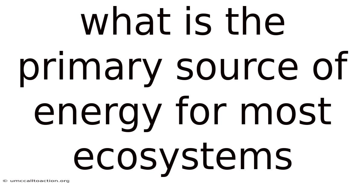 What Is The Primary Source Of Energy For Most Ecosystems