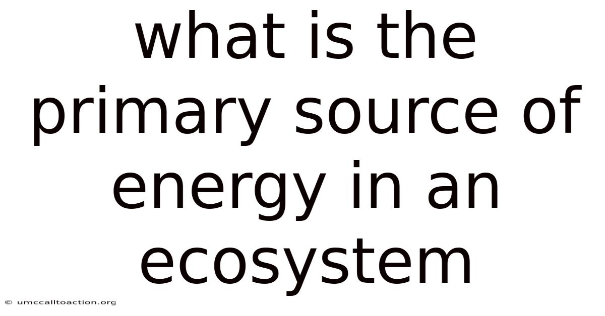 What Is The Primary Source Of Energy In An Ecosystem