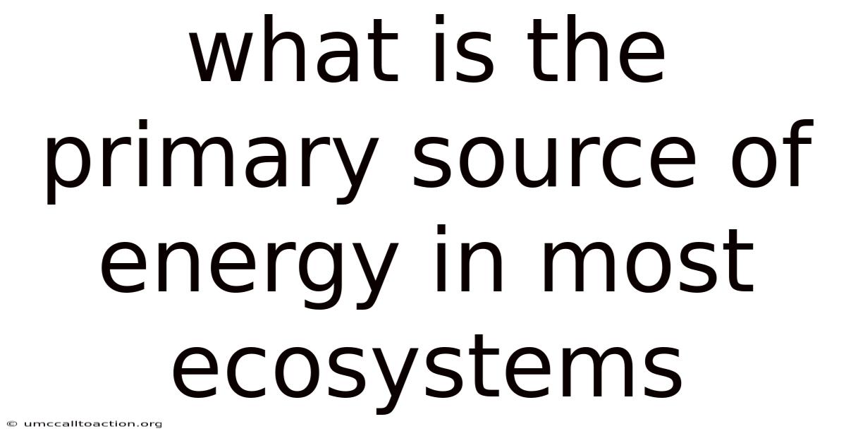 What Is The Primary Source Of Energy In Most Ecosystems