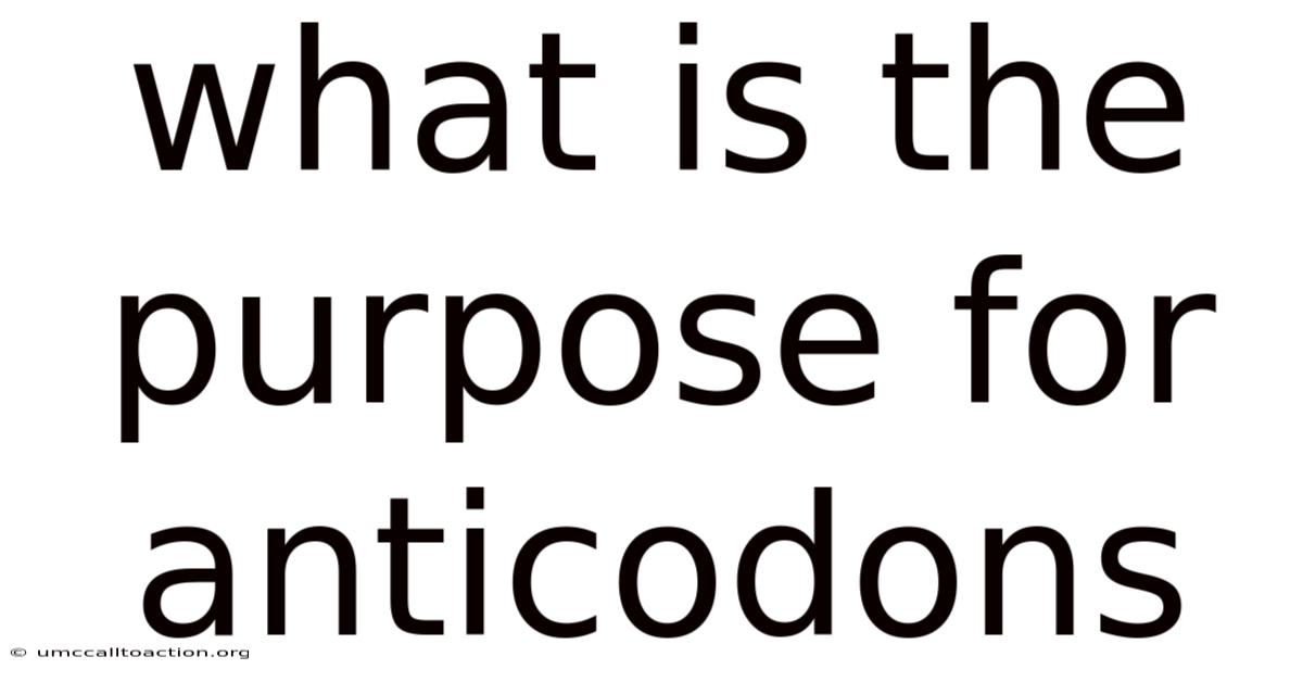 What Is The Purpose For Anticodons