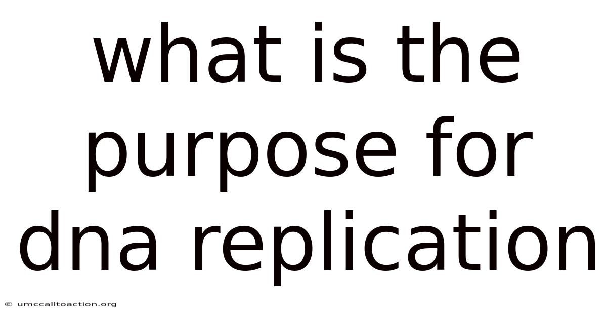 What Is The Purpose For Dna Replication
