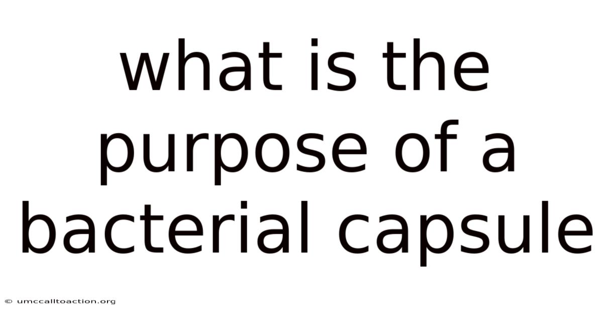What Is The Purpose Of A Bacterial Capsule
