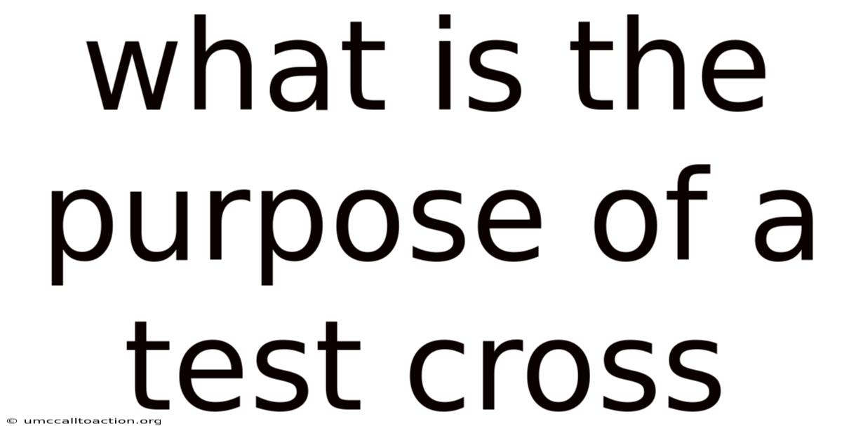 What Is The Purpose Of A Test Cross