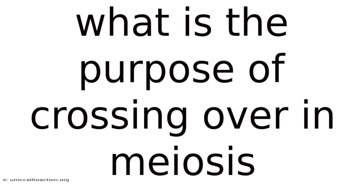 What Is The Purpose Of Crossing Over In Meiosis