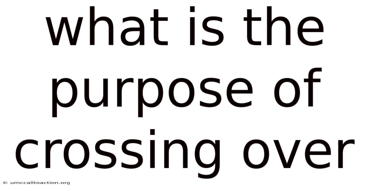 What Is The Purpose Of Crossing Over