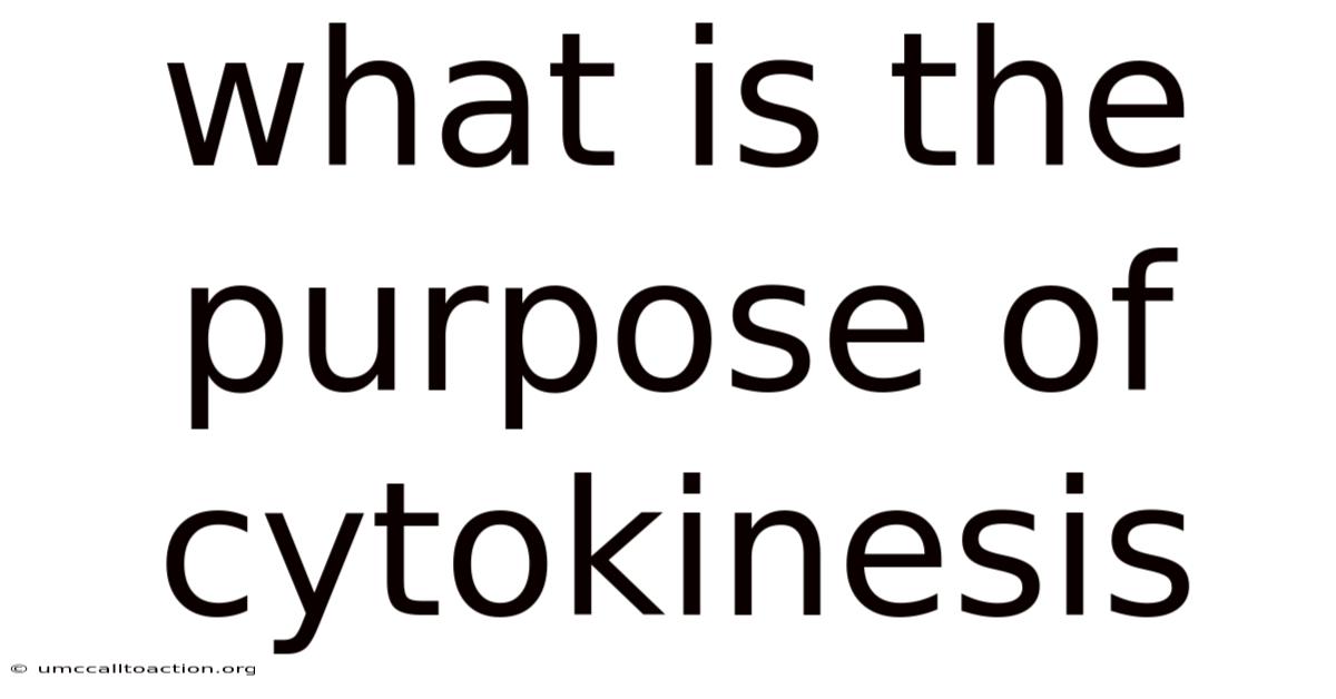 What Is The Purpose Of Cytokinesis
