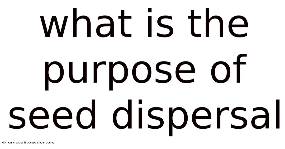 What Is The Purpose Of Seed Dispersal