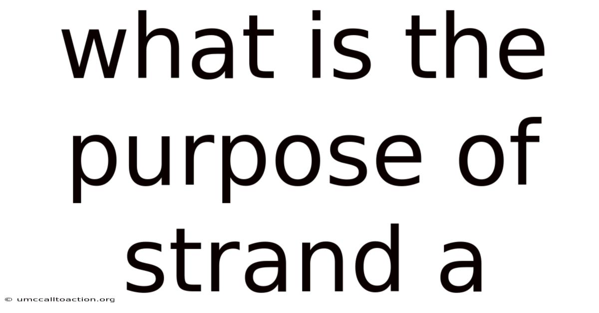 What Is The Purpose Of Strand A