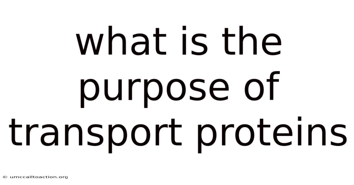 What Is The Purpose Of Transport Proteins