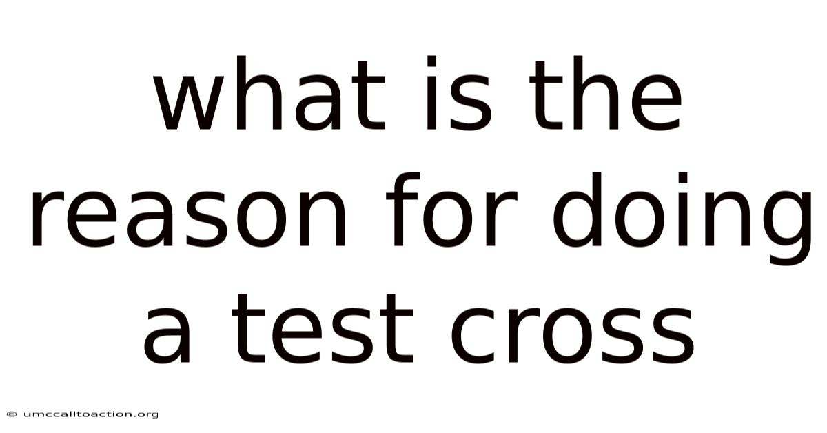 What Is The Reason For Doing A Test Cross
