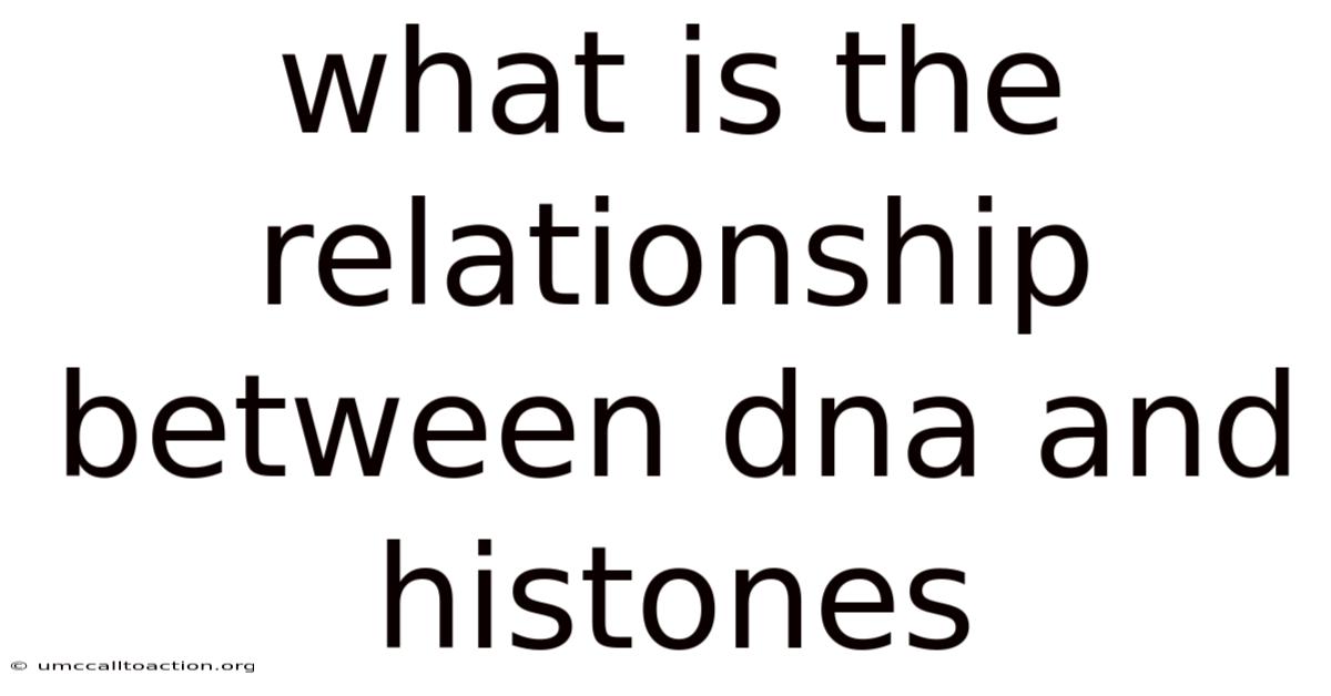 What Is The Relationship Between Dna And Histones