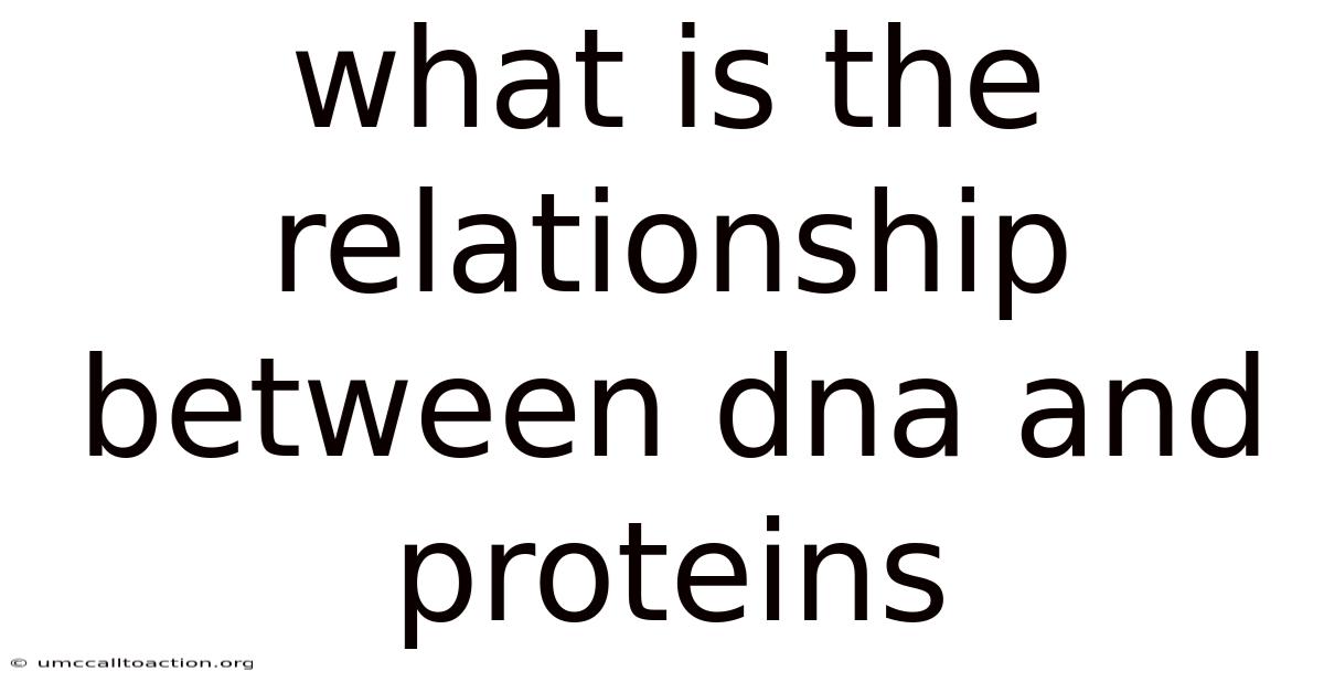 What Is The Relationship Between Dna And Proteins