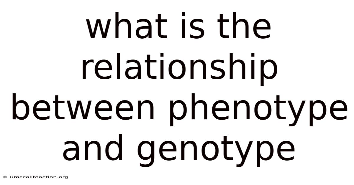 What Is The Relationship Between Phenotype And Genotype