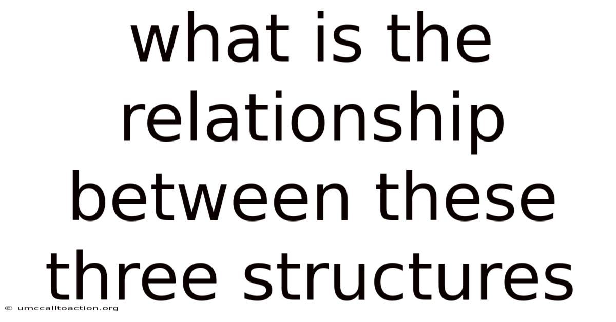 What Is The Relationship Between These Three Structures